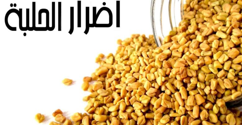 اضرار و فوائد الحلبة