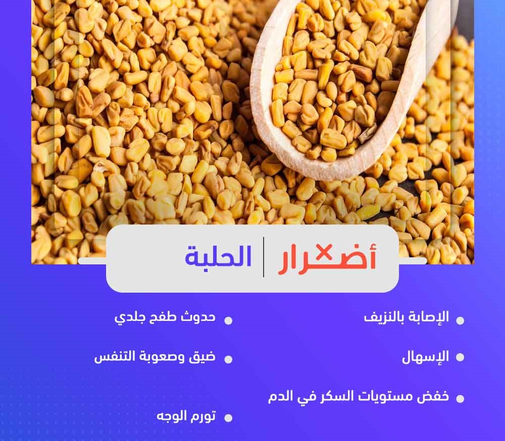 متى تكون الحلبة مضرة ؟