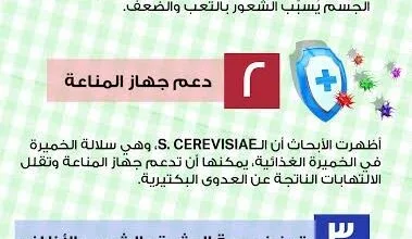 الخميرة والصحة