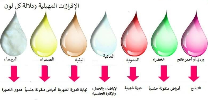 الفرق بين الإفرازات المهبلية