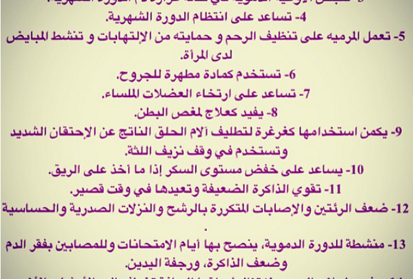 الميرمية والتوأم