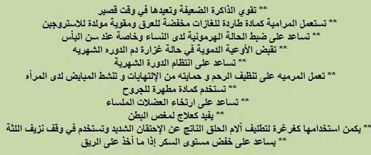 الميرمية والحمل فوائد وأضرار الميرمية