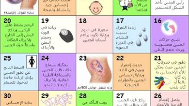 أعراض أسابيع الحمل