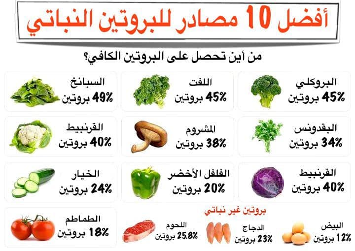 ما هي مصادر البروتين النباتي ؟