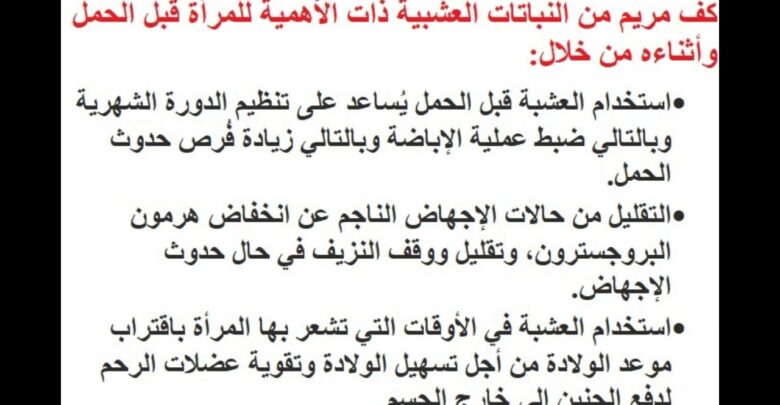 متى تشرب عشبة كف مريم للحمل وما هي فوائدها وقيمتها الغذائية