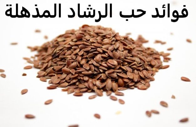 اضرار حب الرشاد للرجال وتأثيره على الرغبة الجنسية والخصوبة