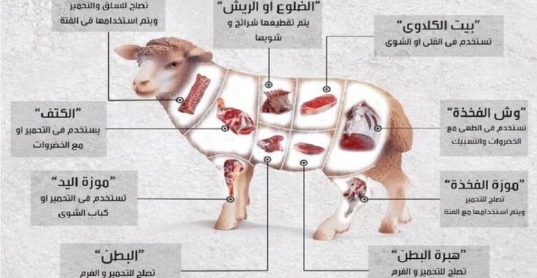 فوائد لحم الغنم ومواصفات لحوم الخروف والماعز الجيدة وطريقة طهيها