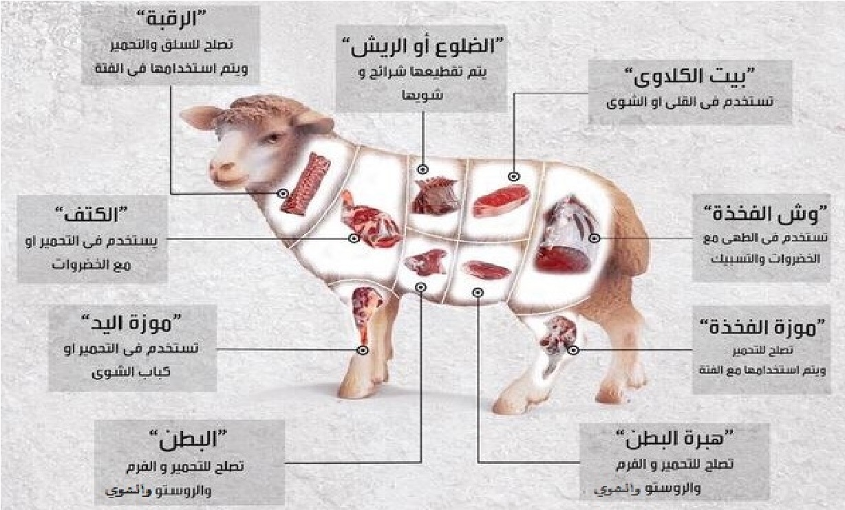 أجزاء الغنم المختلفة وطريقة طهيها