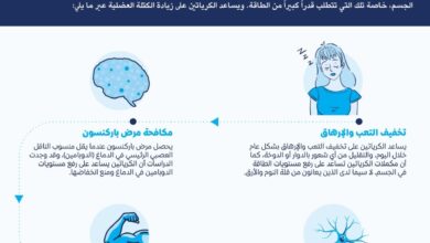 دور الكرياتين في بناء العضلات