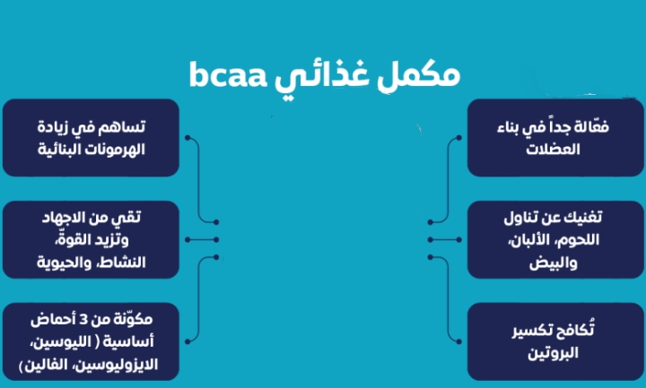 تفاصيل المكمل الغذائي bcaa