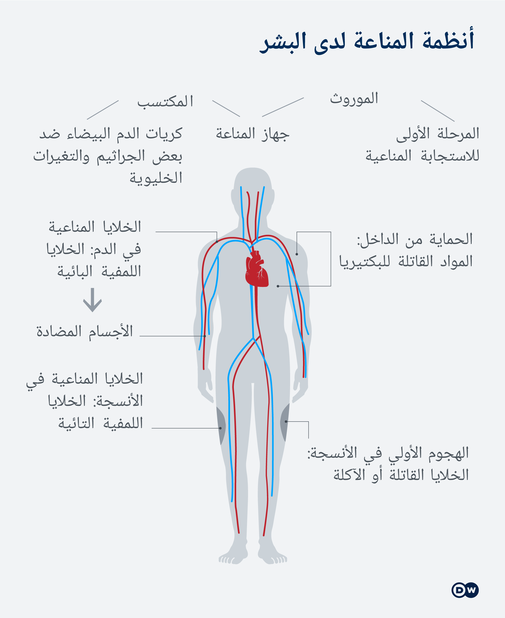 أنظمة المناعة لدى البشر