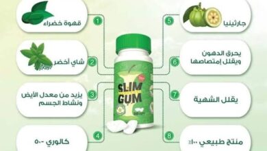 PINA SLIM GUM لـ علاج السمنة