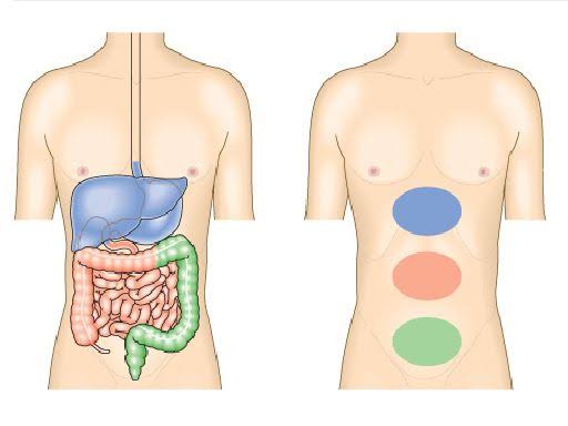 الأعراض المختلفة لـ الجهاز الهضمي