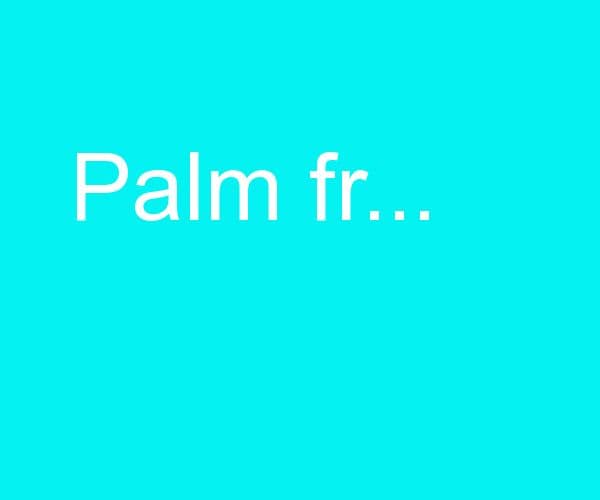 PALM FRESH 60 GM MASSAGE CREAM مضاد لألم المفاصل