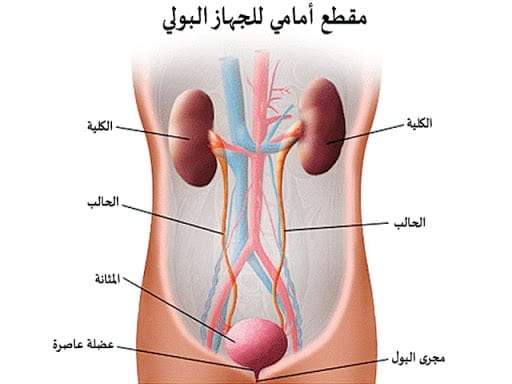 أعراض وأسباب حرقان البول