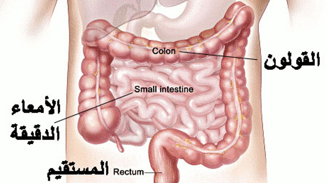 أسباب وأعراض القولون العصبي