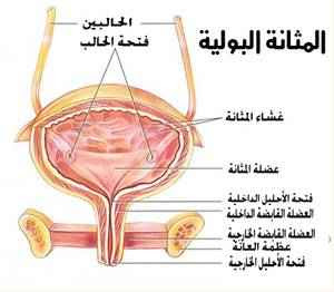 علاج المثانة العصبية