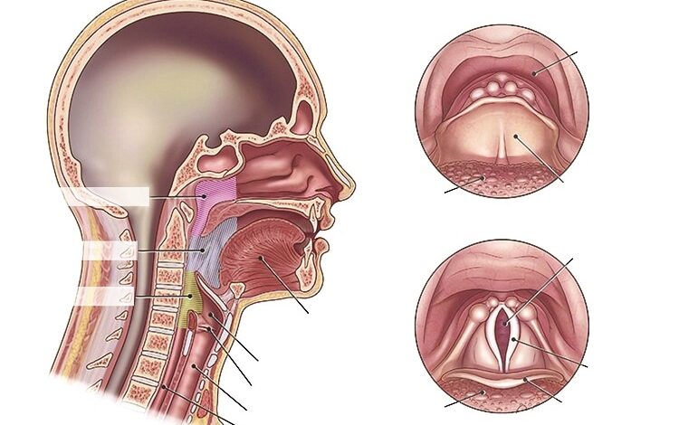 علاج التهابات الحلق