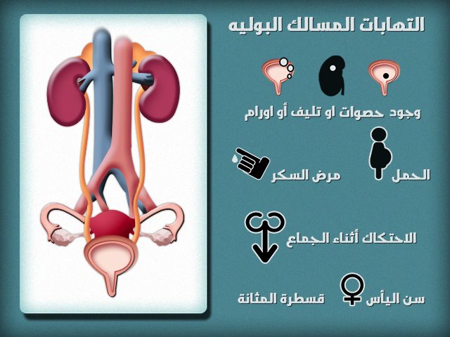 أسباب وأعراض التهابات مجرى البول