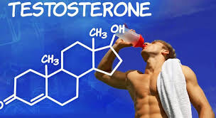 أهمية هرمون التستوستيرون 