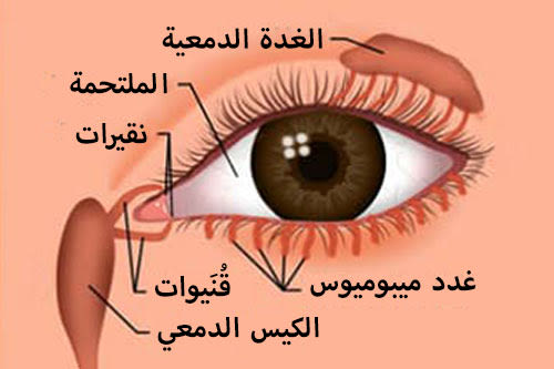 كيفية علاج حرقان العين