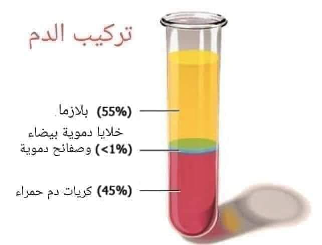 ما هو تركيب الدم ؟