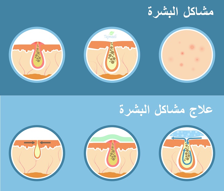 كريمات العناية بـ البشرة