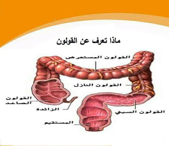 أسباب وأعراض القولون العصبي وكيفية التعامل معها