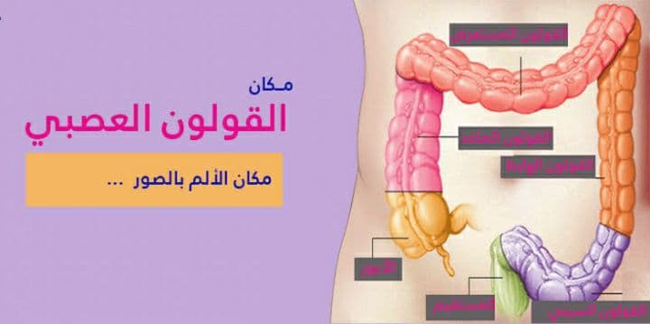 أسباب وأعراض القولون العصبي وكيفية التعامل معها