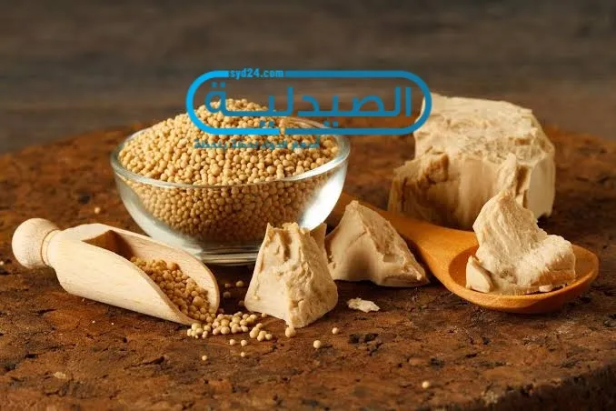 اضرار الخميره فوائد الخميرة وقيمتها الغذائية