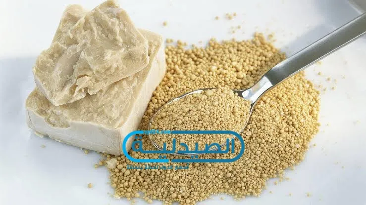 اضرار الخميره فوائد الخميرة وقيمتها الغذائية