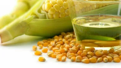 شراب الذرة ما هي أضراره ؟